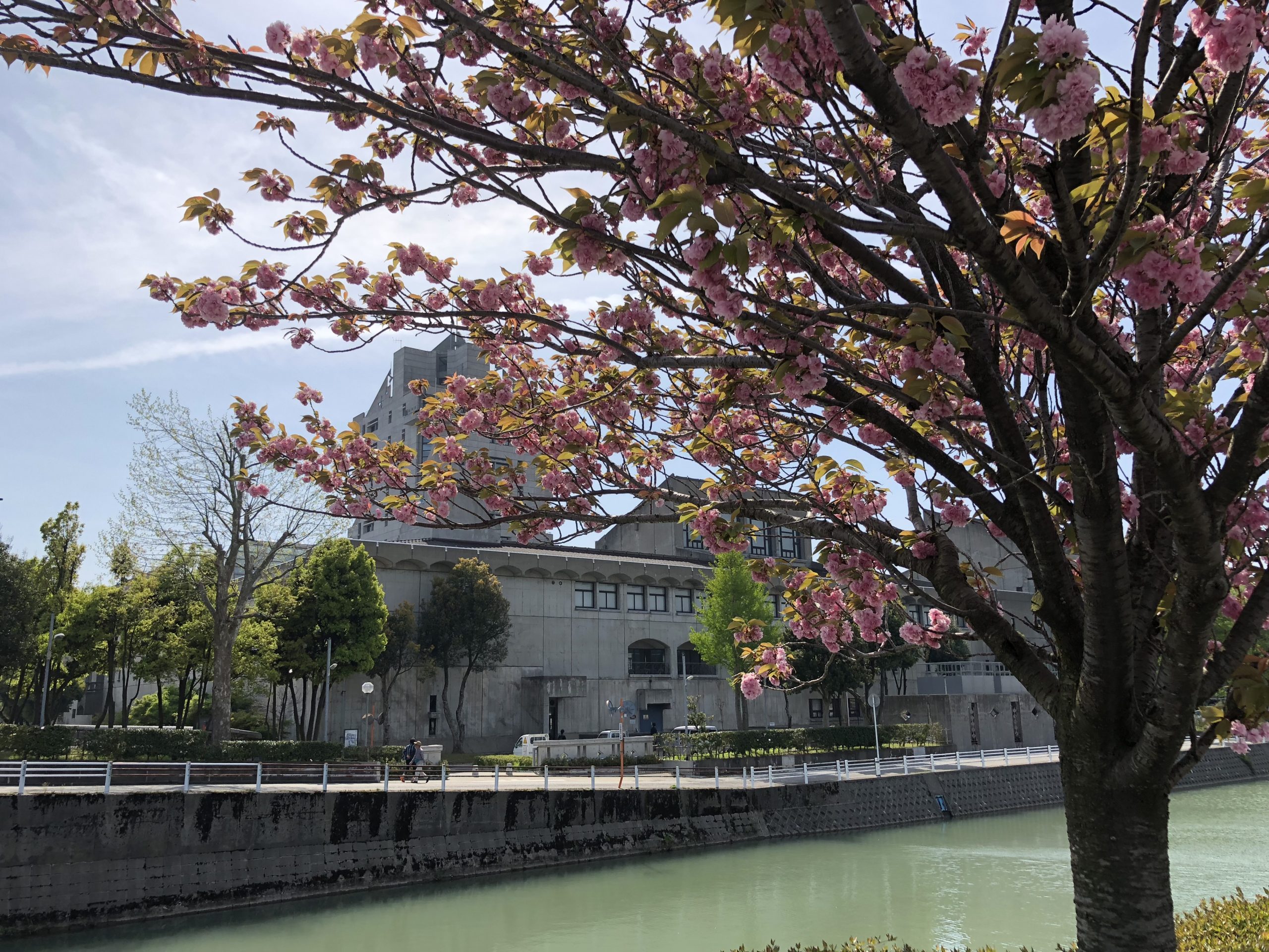 【発表】2020年度日本機械学会年次大会（深田くん，市川くん，浜谷くん，早川くん）