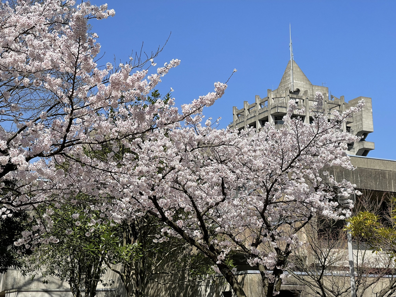 令和５年度学位記授与式（3/15）