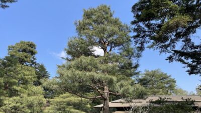 2026秋 金沢でCAEを考える一週間（1DCAE・MBDシンポジウム2026 & オープンCAEシンポジウム2026，2026/11/9-13）