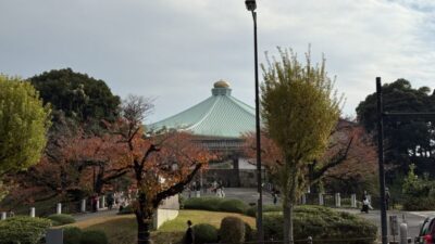 【講演】電気学会 モデルとデータの融合によるスマート制御システム設計に関する調査専門委員会 第1回委員会 (11/27)