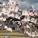 令和８年度がスタートしました．