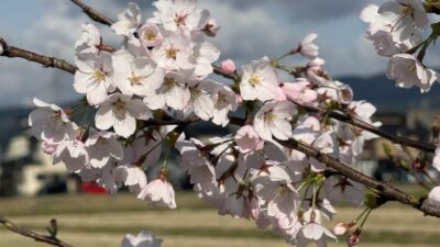 令和８年度がスタートしました．